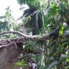 cyclone 2019-03-22